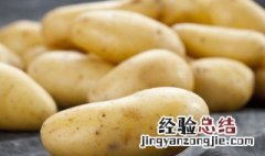 土豆属于豆类吗 土豆属于豆类吗为什么