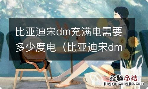 比亚迪宋dm充电一次多少度电 比亚迪宋dm充满电需要多少度电