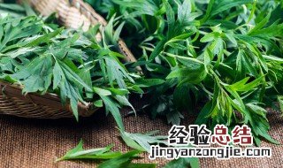 野艾蒿和艾草怎样分别 野艾蒿和艾草怎样分别可以吃吗