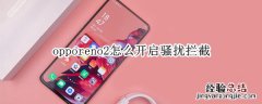 opporeno2怎么开启骚扰拦截