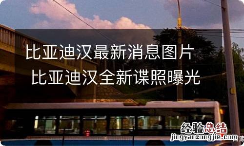 比亚迪汉最新消息图片 比亚迪汉全新谍照曝光