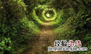 怎样才能使自己的人生更加丰富多彩? 进来看看