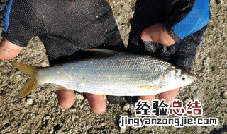 鱼钓可以带上地铁吗 想去远一点的地方钓鱼