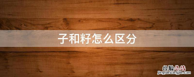 子和籽怎么区分