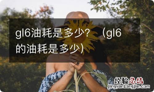 gl6的油耗是多少 gl6油耗是多少?