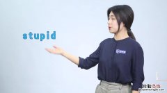 stupid什么意思