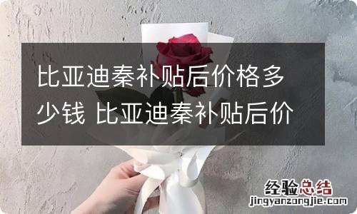 比亚迪秦补贴后价格多少钱 比亚迪秦补贴后价格是多少