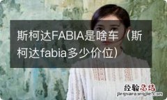 斯柯达fabia多少价位 斯柯达FABIA是啥车