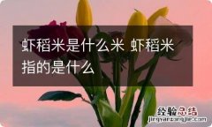 虾稻米是什么米 虾稻米指的是什么