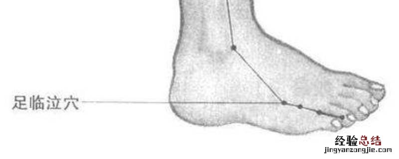足临泣准确位置图和作用