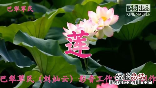 花中君子下一句是什么