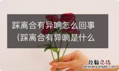 踩离合有异响是什么问题 踩离合有异响怎么回事