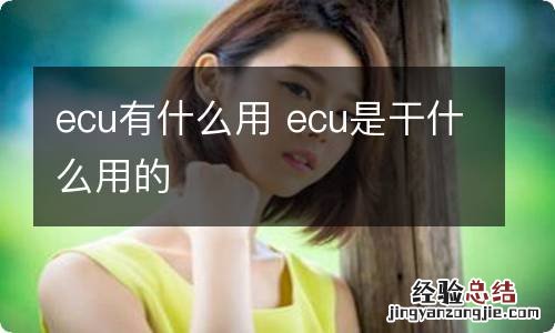 ecu有什么用 ecu是干什么用的
