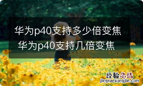 华为p40支持多少倍变焦 华为p40支持几倍变焦