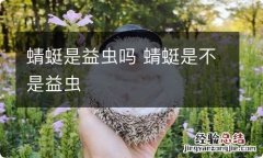 蜻蜓是益虫吗 蜻蜓是不是益虫