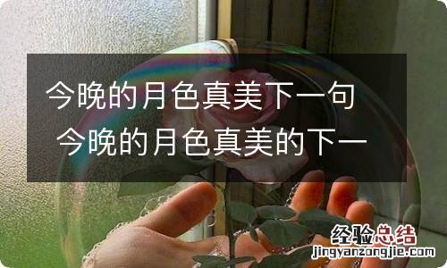 今晚的月色真美下一句 今晚的月色真美的下一句是什么