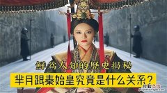 芈月和嬴政有什么关系