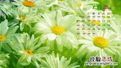 7月11日是什么日子