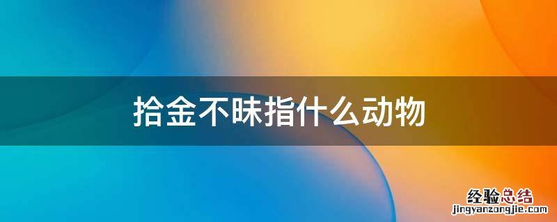 拾金不昧是什么生肖
