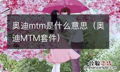 奥迪MTM套件 奥迪mtm是什么意思