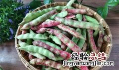 油豆角储存保鲜方法 油豆角怎么储藏