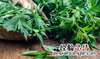 艾叶可以用来泡脚吗 新鲜的艾叶可以泡脚吗
