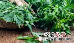 艾叶泡脚放多少把艾叶 用艾叶泡脚放多少艾叶