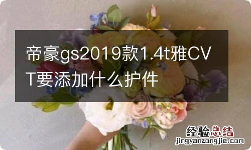 帝豪gs2019款1.4t雅CVT要添加什么护件