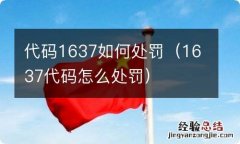 1637代码怎么处罚 代码1637如何处罚