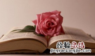 适合发好友的句子 关于友情的唯美句子
