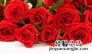玫瑰的正确养殖方法和注意事项 玫瑰怎么养殖方法