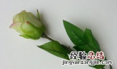 玫瑰花的刺可以剪掉吗 玫瑰花的刺是否可以剪掉