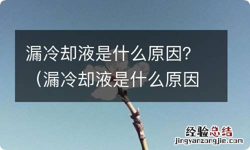漏冷却液是什么原因 漏冷却液是什么原因？