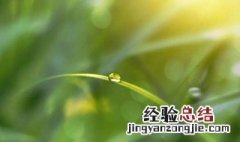 白露节气是几月份 白露节气是什么时候