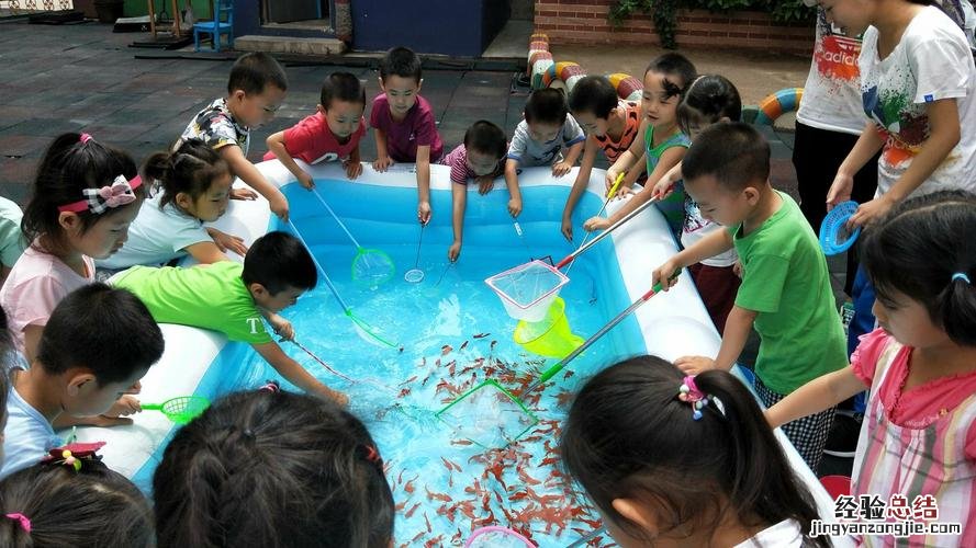 秋季鱼在什么区域活动