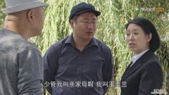 乡村爱情第八部叫什么名