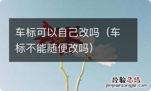 车标不能随便改吗 车标可以自己改吗