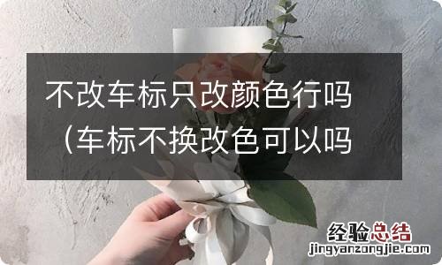 车标不换改色可以吗 不改车标只改颜色行吗