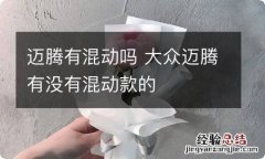 迈腾有混动吗 大众迈腾有没有混动款的