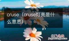 cruse灯亮是什么意思 cruse