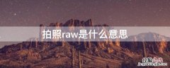 拍照raw是什么意思