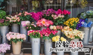 花店里的花为什么长得都这么好呢 花店的花为什么那么香