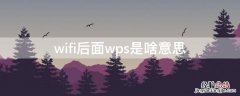 wifi后面wps是啥意思