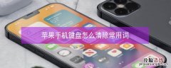 iPhone手机键盘怎么清除常用词