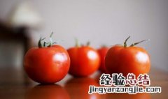 西红柿泥怎么做给宝宝吃辅食 西红柿泥怎么做给宝宝吃