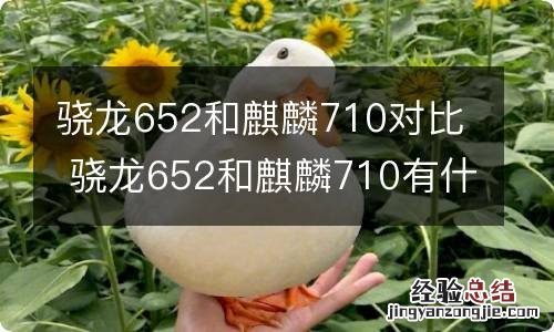 骁龙652和麒麟710对比 骁龙652和麒麟710有什么区别