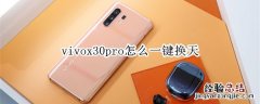 vivox30pro怎么一键换天