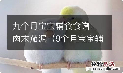 9个月宝宝辅食肉泥的做法 九个月宝宝辅食食谱:肉末茄泥