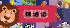 狗洞打一字