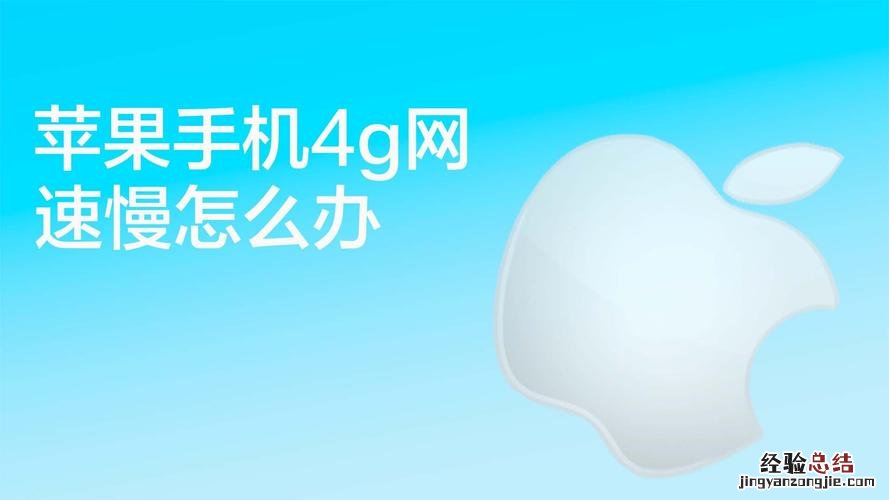 手机显示4g满格但网速还是慢